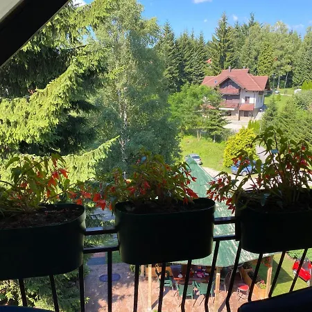 Apartament Dusa Zlatibora *