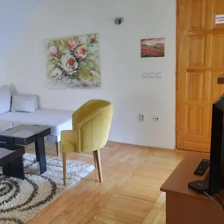 Apartament Dusa Zlatibora Zlatibor
