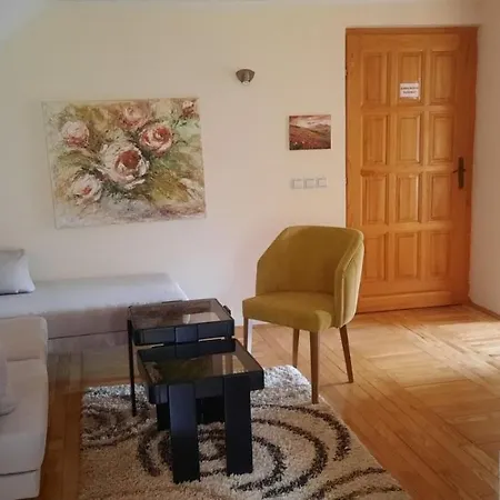 Apartament Dusa Zlatibora *