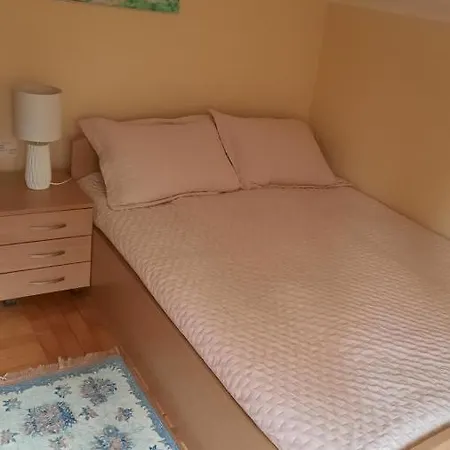 Apartament Dusa Zlatibora *