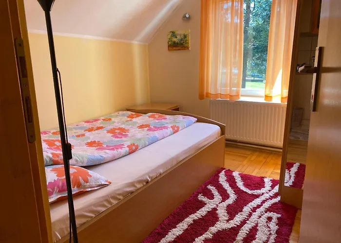 Апартаменты Dusa Zlatibora *