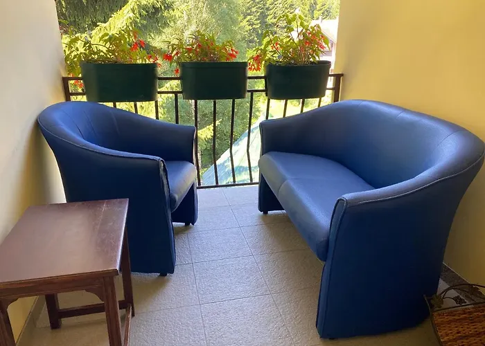 Dusa Zlatibora Апартаменты *