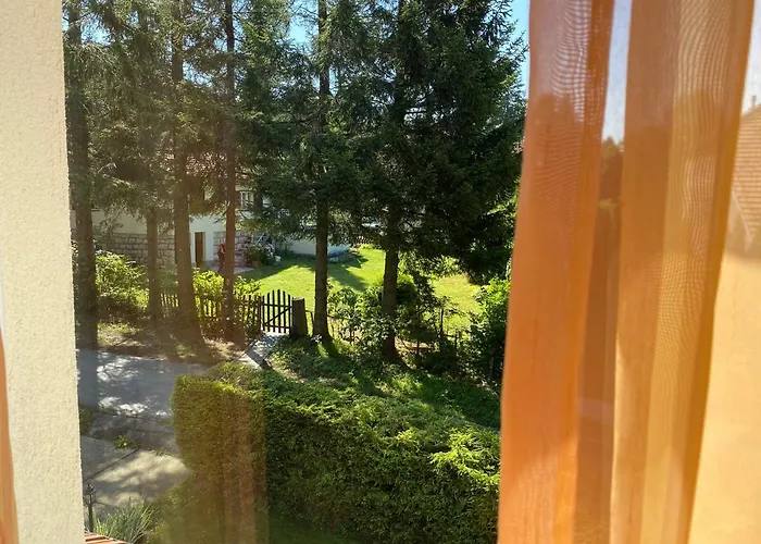 Апартаменты Dusa Zlatibora *