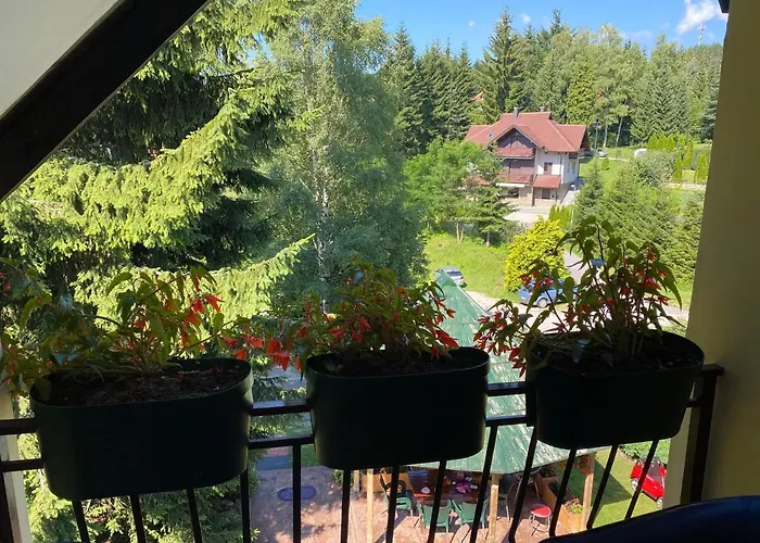 Апартаменты Dusa Zlatibora *