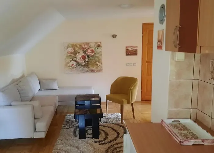 Апартаменты Dusa Zlatibora Златибор